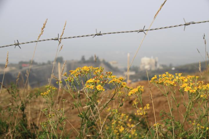 IMG_7367.JPG